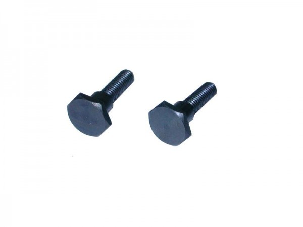 Steering Plate Hex Screws (2 pcs)