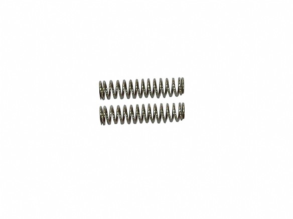 Throttle Spring (2 pcs)